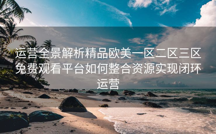 运营全景解析精品欧美一区二区三区免费观看平台如何整合资源实现闭环运营