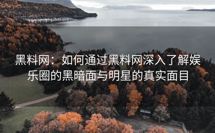 黑料网：如何通过黑料网深入了解娱乐圈的黑暗面与明星的真实面目