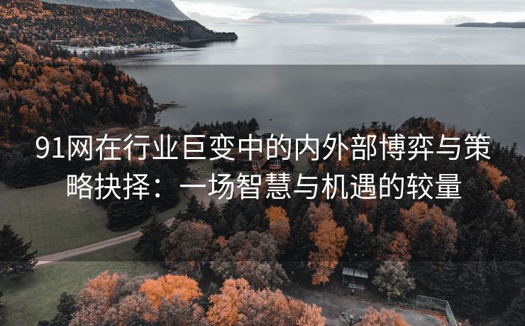 91网在行业巨变中的内外部博弈与策略抉择：一场智慧与机遇的较量