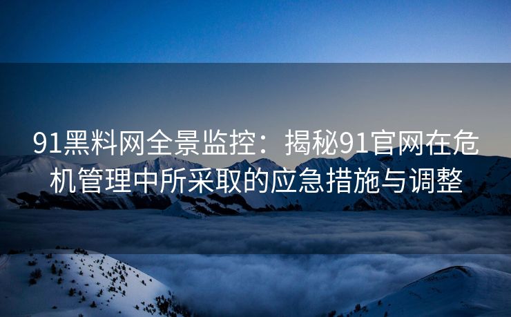 91黑料网全景监控：揭秘91官网在危机管理中所采取的应急措施与调整