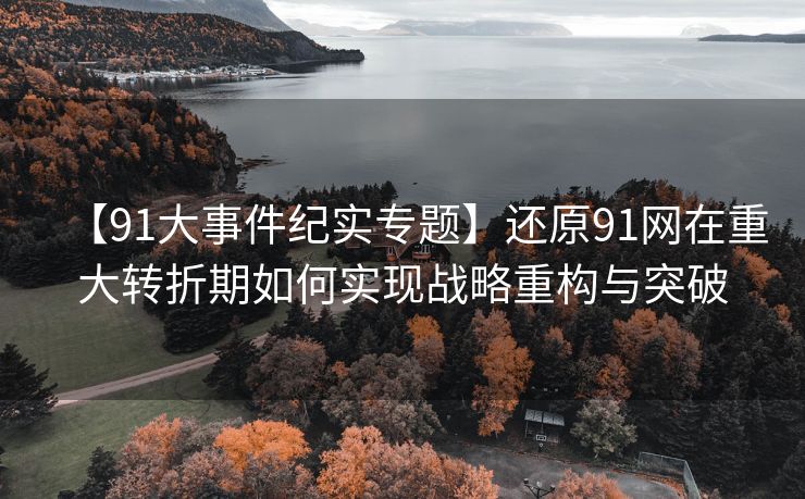 【91大事件纪实专题】还原91网在重大转折期如何实现战略重构与突破