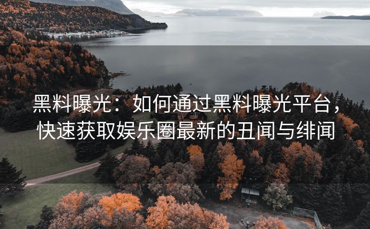 黑料曝光：如何通过黑料曝光平台，快速获取娱乐圈最新的丑闻与绯闻