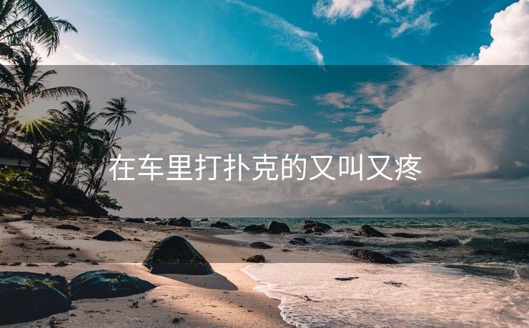 在车里打扑克的又叫又疼