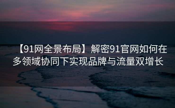 【91网全景布局】解密91官网如何在多领域协同下实现品牌与流量双增长
