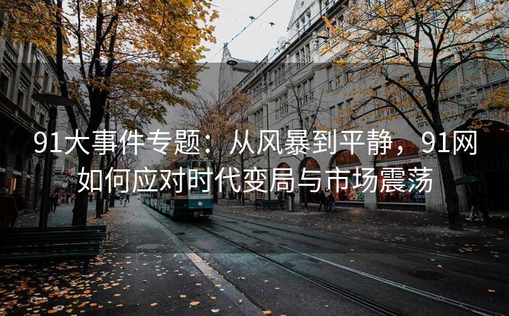 91大事件专题：从风暴到平静，91网如何应对时代变局与市场震荡