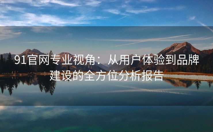 91官网专业视角：从用户体验到品牌建设的全方位分析报告