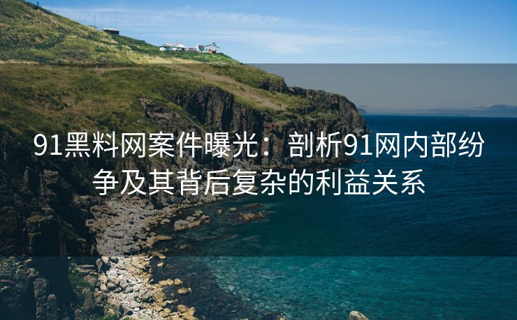 91黑料网案件曝光：剖析91网内部纷争及其背后复杂的利益关系