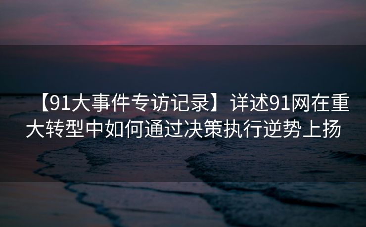 【91大事件专访记录】详述91网在重大转型中如何通过决策执行逆势上扬