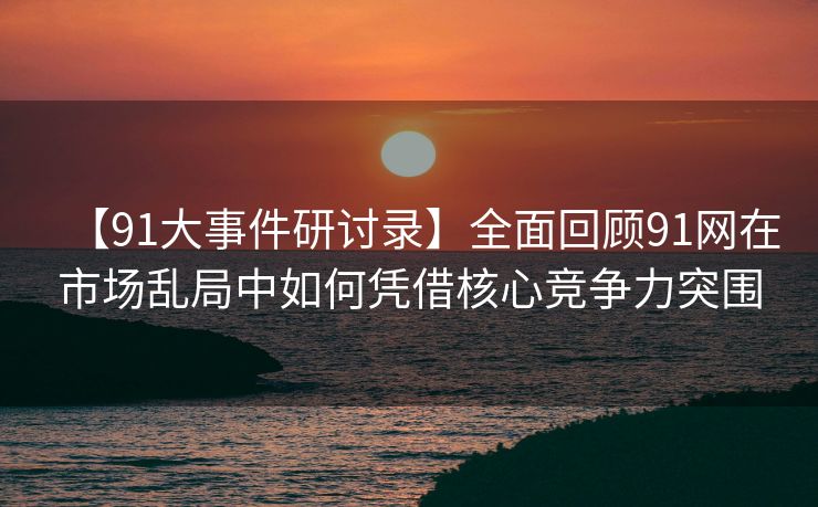 【91大事件研讨录】全面回顾91网在市场乱局中如何凭借核心竞争力突围