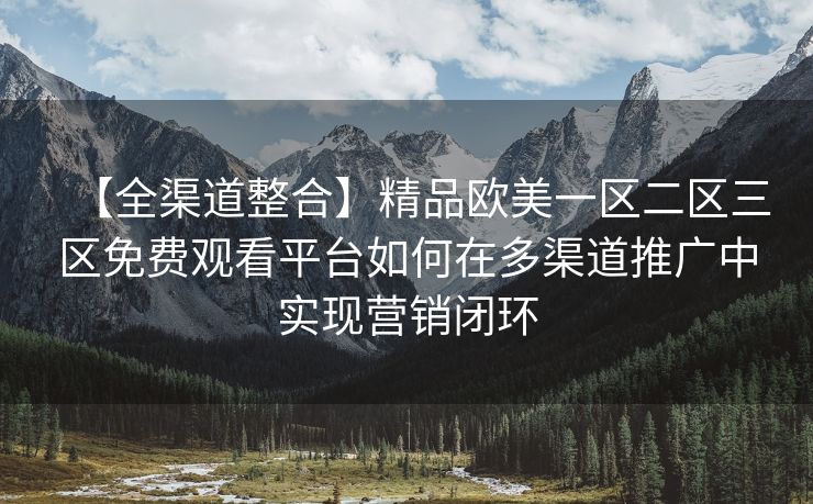 【全渠道整合】精品欧美一区二区三区免费观看平台如何在多渠道推广中实现营销闭环