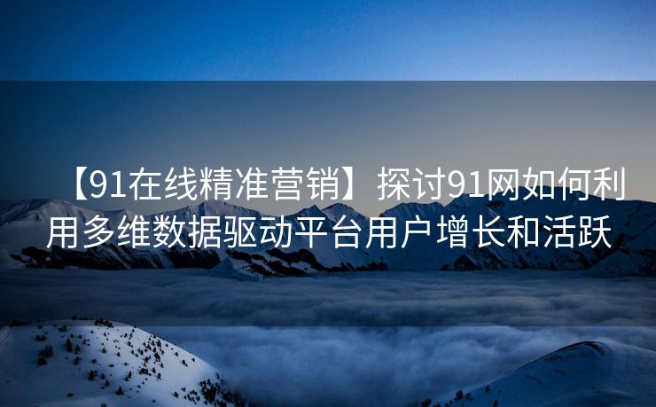 【91在线精准营销】探讨91网如何利用多维数据驱动平台用户增长和活跃