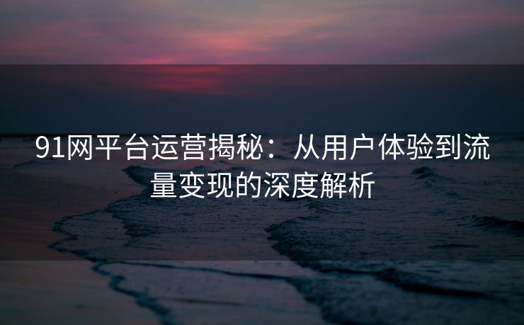 91网平台运营揭秘：从用户体验到流量变现的深度解析