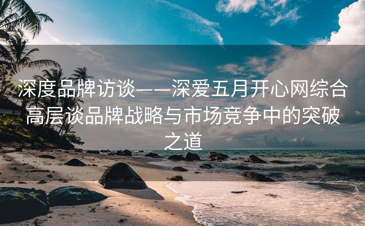 深度品牌访谈——深爱五月开心网综合高层谈品牌战略与市场竞争中的突破之道