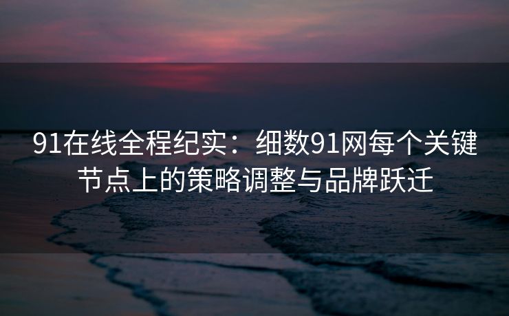 91在线全程纪实：细数91网每个关键节点上的策略调整与品牌跃迁